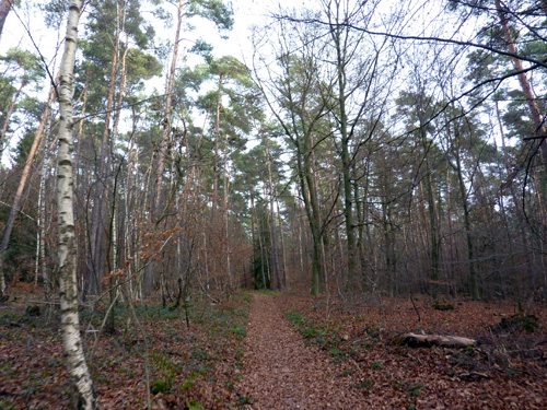 p1030526.jpg
