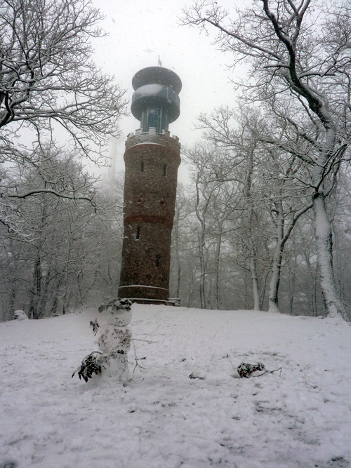 p1030553.jpg