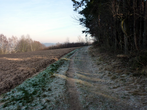 p1030787.jpg