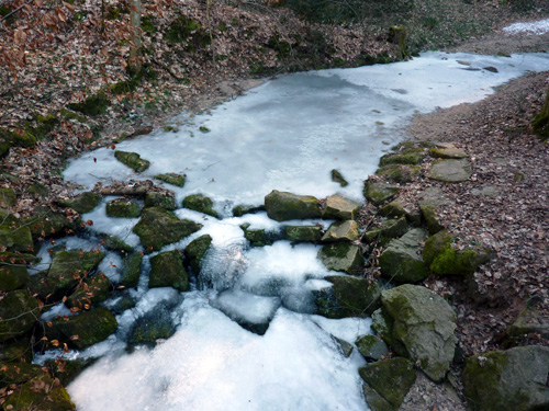 p1030836.jpg