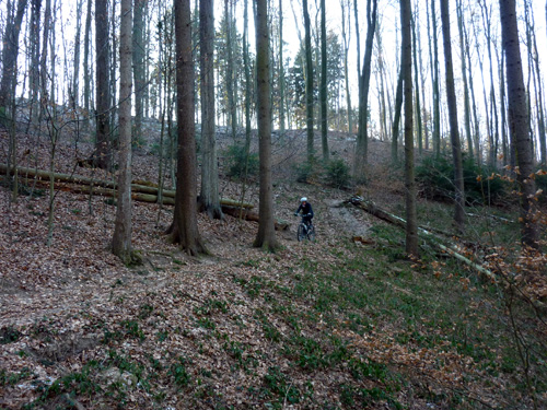 p1030837.jpg