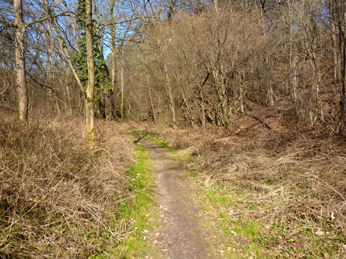 p1040004.jpg