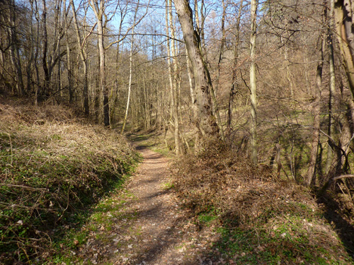 p1040005.jpg