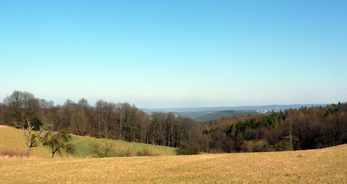 p1040009.jpg