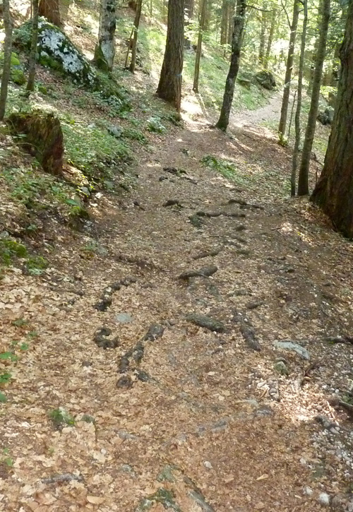 p1050214.jpg
