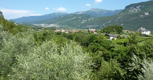 p1050268.jpg
