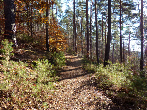 p1050970.jpg