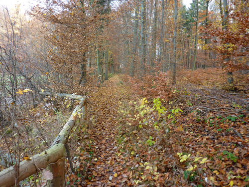 p1060019.jpg