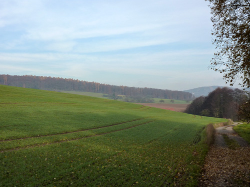 p1060021.jpg