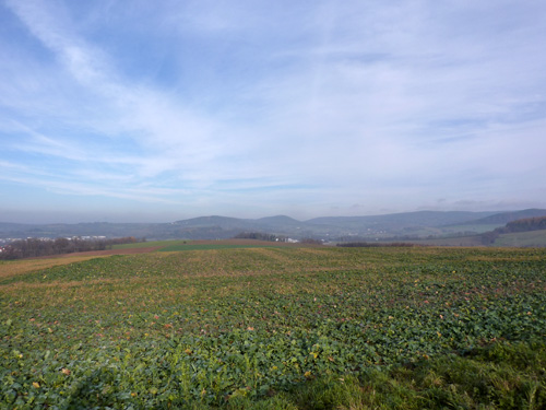 p1060022.jpg