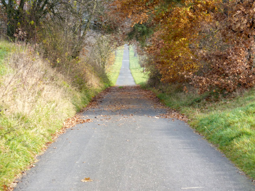 p1060024.jpg