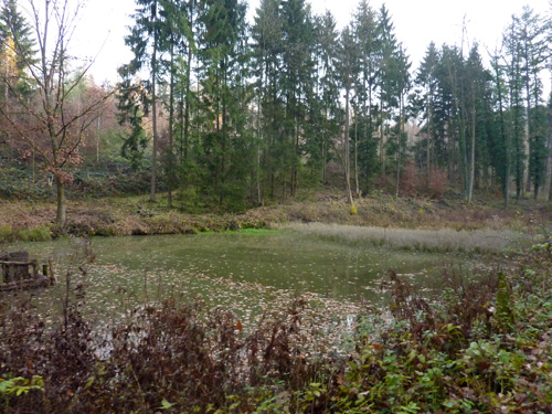 p1060028.jpg