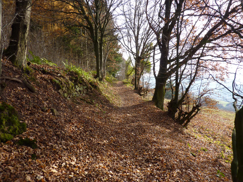 p1060029.jpg