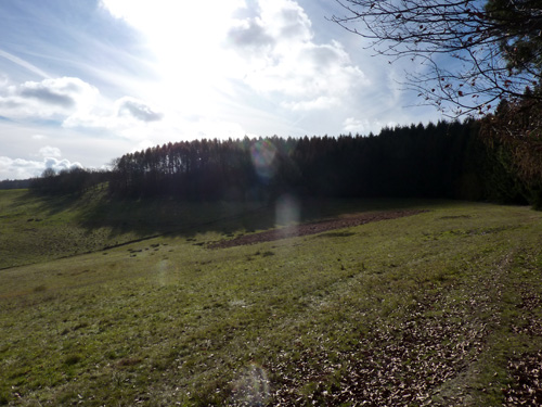 p1060031.jpg