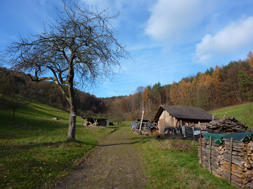 p1060033.jpg