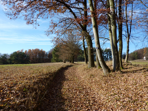 p1060034.jpg