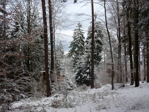 p1060114.jpg