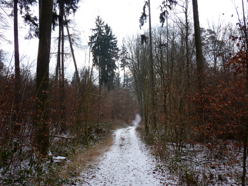 p1060415.jpg
