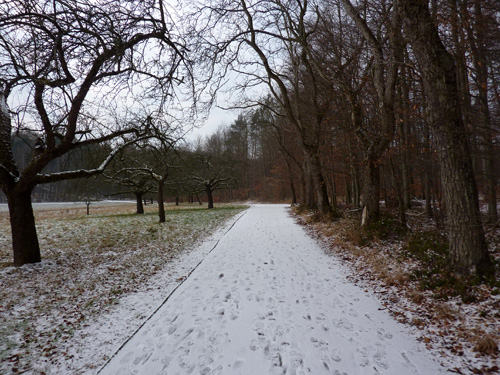 p1060416.jpg
