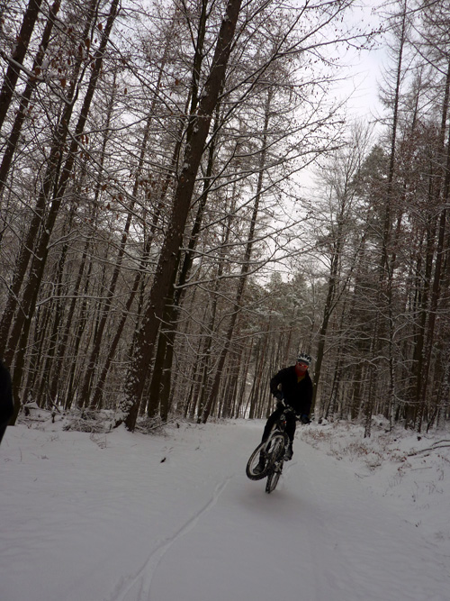 p1060428.jpg