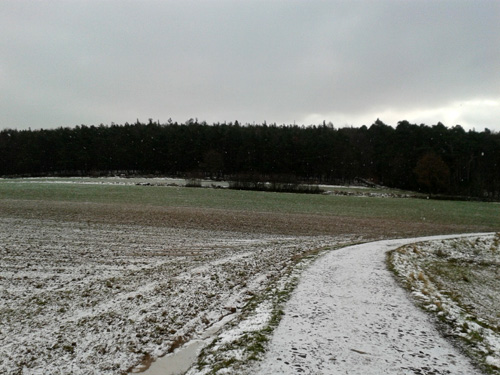 20130207_104811.jpg