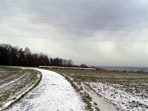20130207_104820.jpg