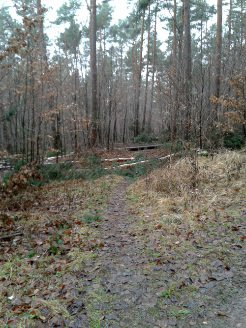20130207_111133.jpg