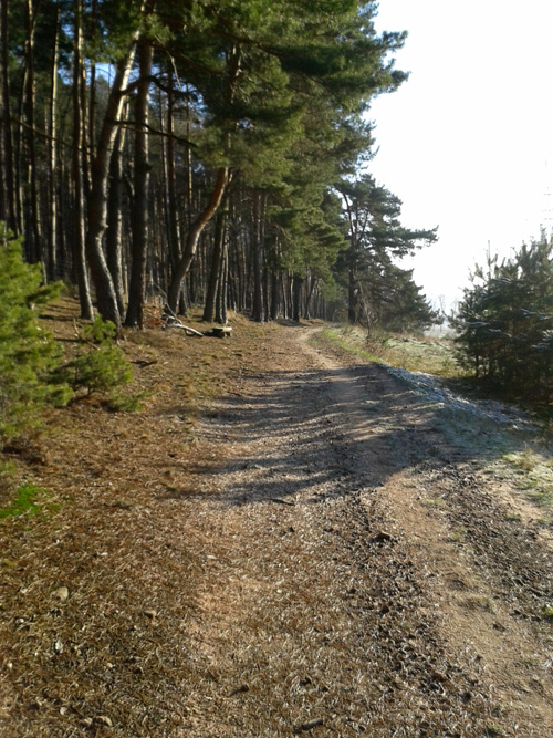 20130210_094451.jpg
