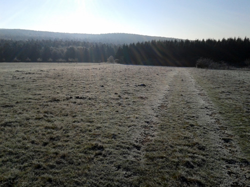 20130210_094845.jpg