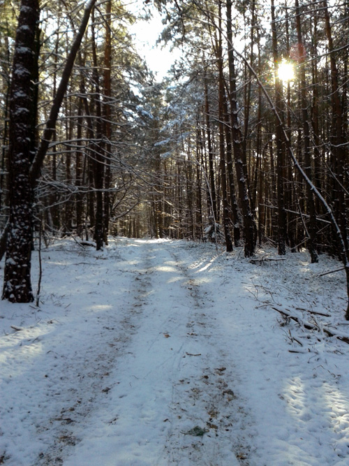 20130210_101042.jpg