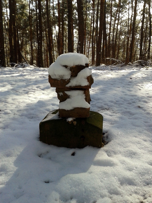 20130210_114057.jpg