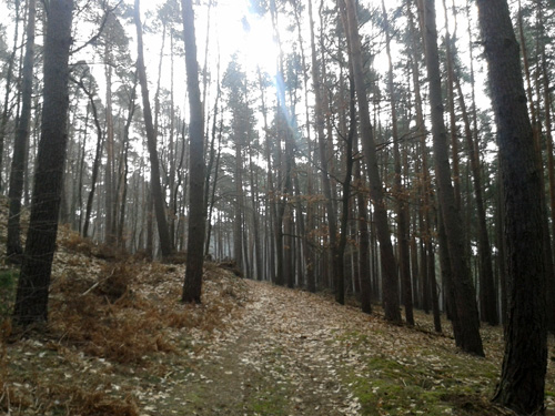 20130303_093312.jpg
