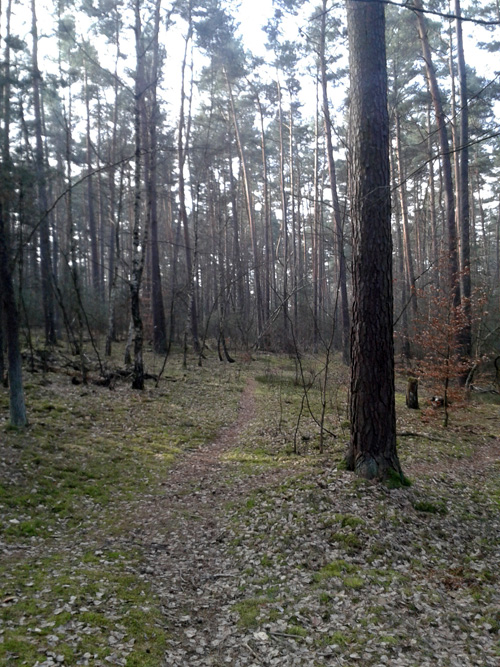 20130303_095005.jpg