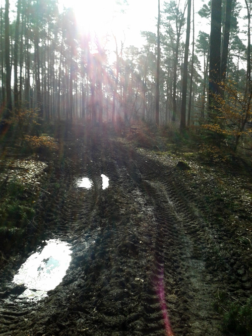 20130303_100146.jpg