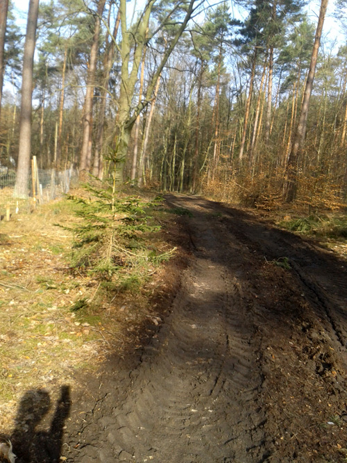 20130303_100154.jpg