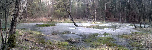 20130303_101542.jpg