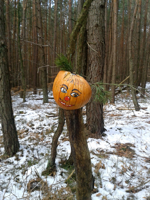 20130303_110311.jpg