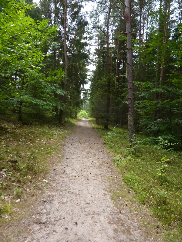 P1070090